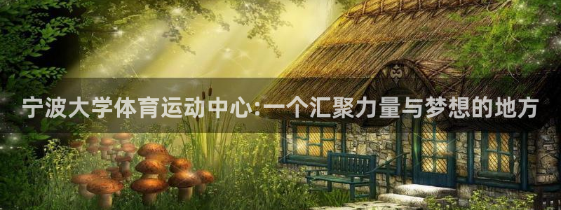 哈哈体育十年：宁波大学体育运动中心:一个汇聚力量与梦想的地方