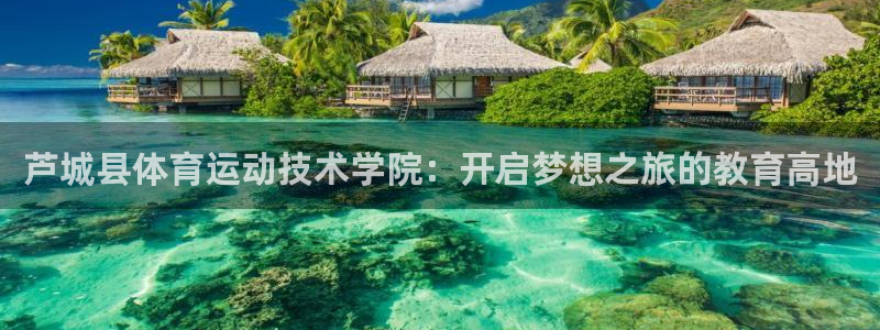 哈哈体育：芦城县体育运动技术学院：开启梦想之旅的教育高地