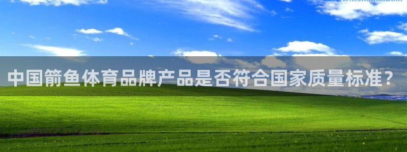 哈哈体育十年：中国箭鱼体育品牌产品是否符合国家质量标准？