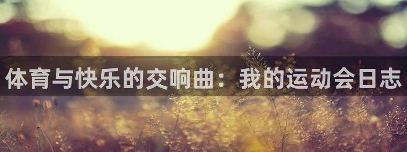 哈哈体育下载：体育与快乐的交响曲：我的运动会日志