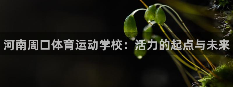 哈哈体育：河南周口体育运动学校：活力的起点与未来