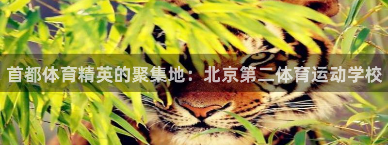 哈哈体育：首都体育精英的聚集地：北京第二体育运动学校