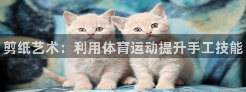 哈哈体育下载：剪纸艺术：利用体育运动提升手工技能