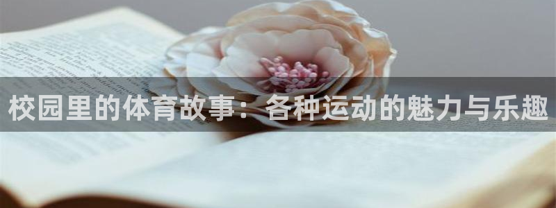 哈哈体育下载：校园里的体育故事：各种运动的魅力与乐趣