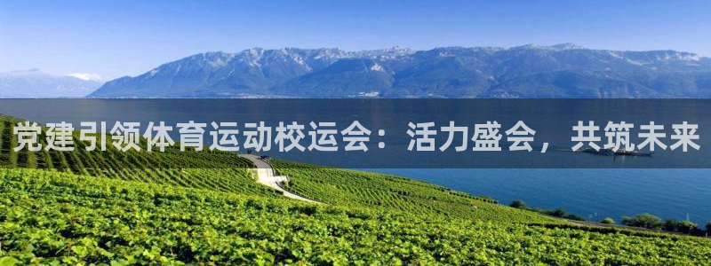 哈哈体育十年：党建引领体育运动校运会：活力盛会，共筑未来