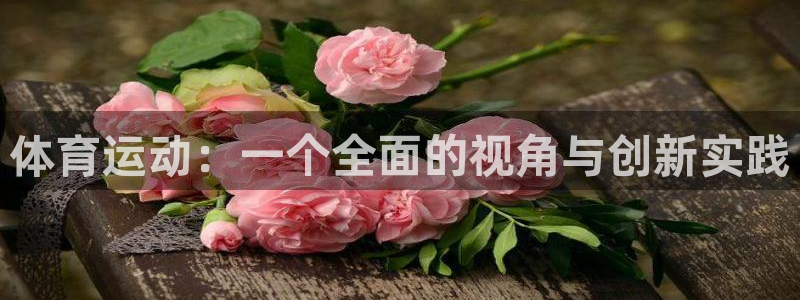 哈哈体育十年：体育运动：一个全面的视角与创新实践