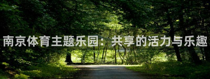 哈哈体育十年：南京体育主题乐园：共享的活力与乐趣